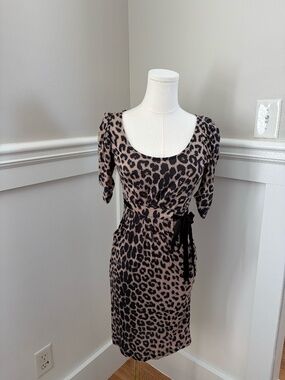 ZARA Chic Leopard Print Cinched Waist Mini Dress Small